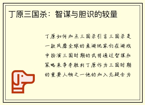 丁原三国杀：智谋与胆识的较量