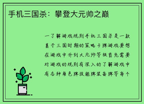 手机三国杀：攀登大元帅之巅